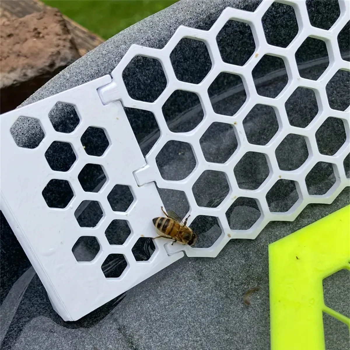 1pc Floating Bee Ladders Folda - Begonia Rex reseña y precio