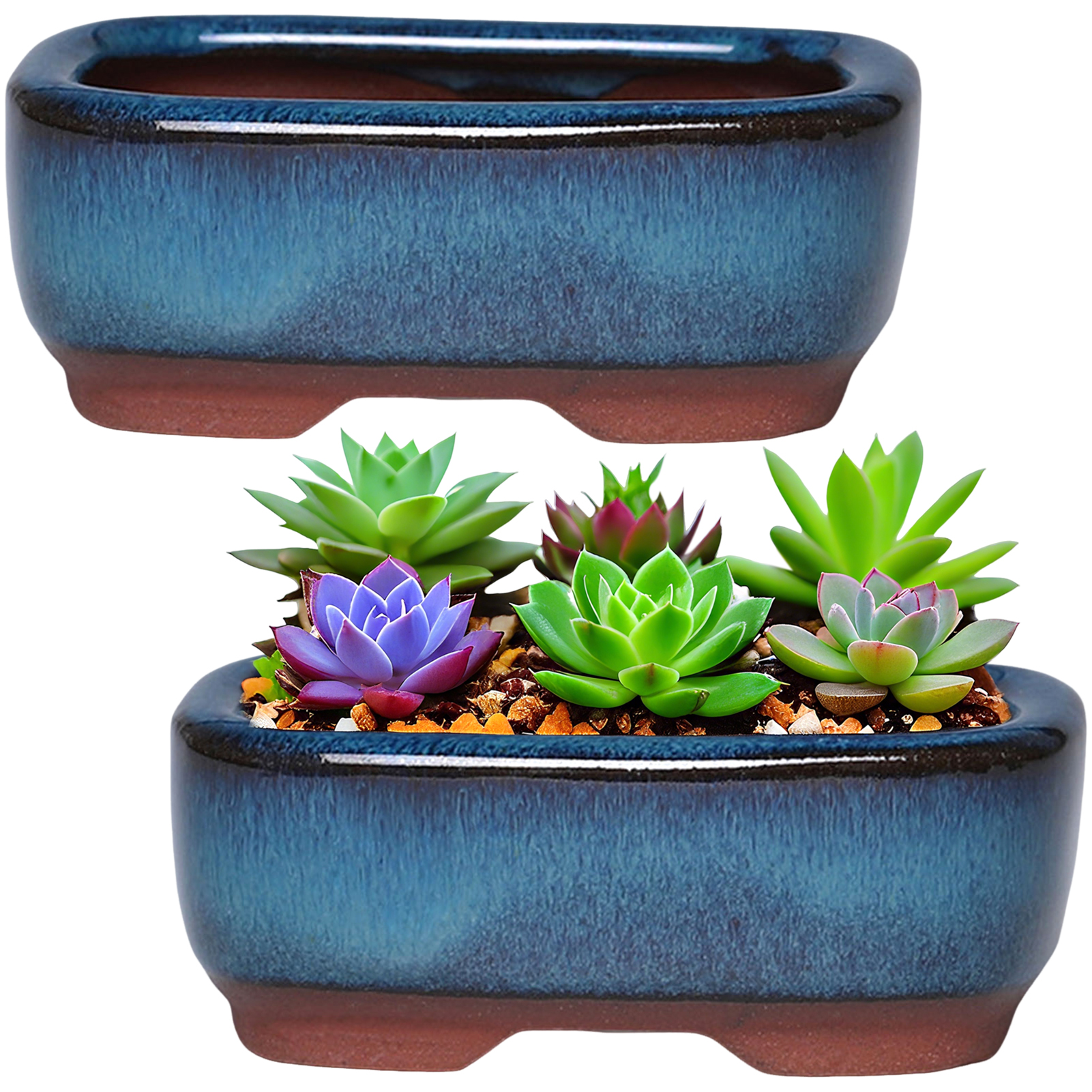 Ceramic Flowerpot Creative Suc - Pilea Peperomioides reseña y precio
