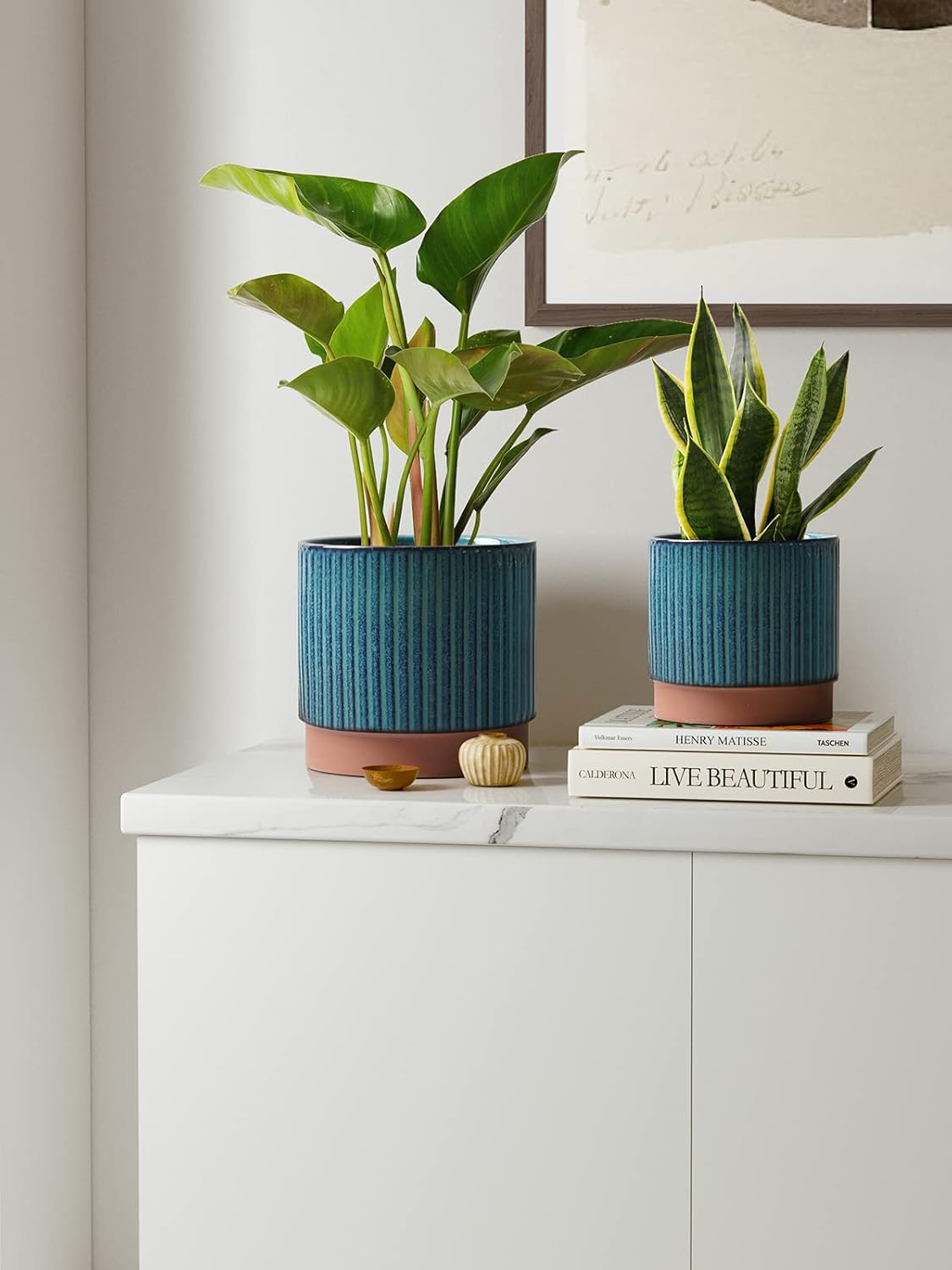 Set of 3 Ceramic Plant Pots wi - Aloe Vera Pot reseña y precio