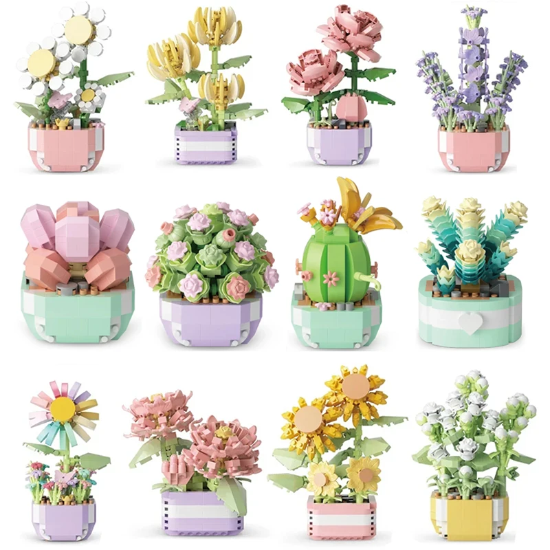 Flower Succulents Building Blo - Echeveria Succulent reseña y precio