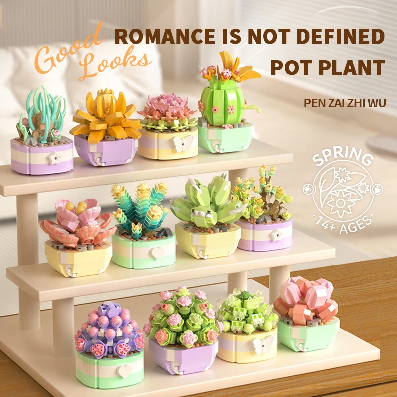 Flower Succulents Building Blo - Echeveria Succulent reseña y precio