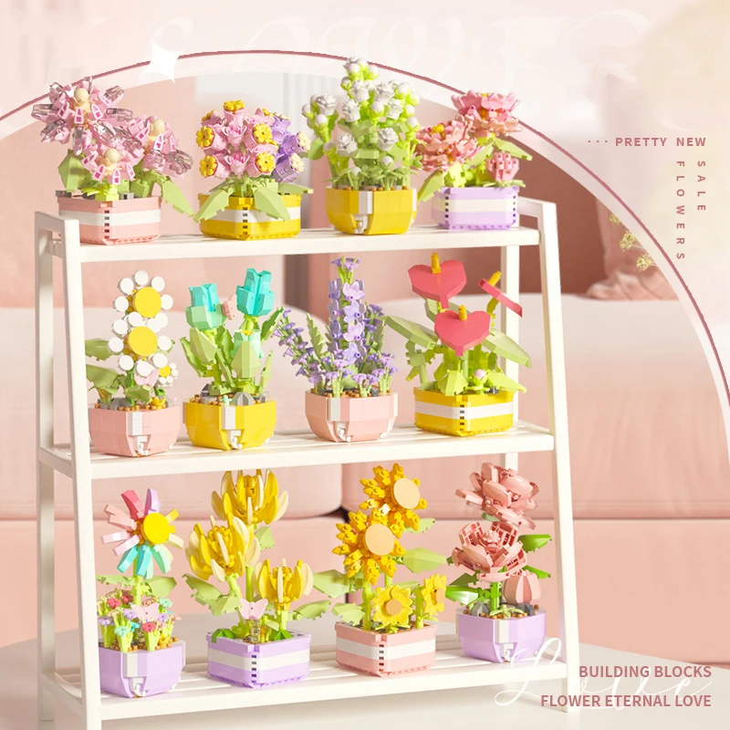 Flower Succulents Building Blo - Echeveria Succulent reseña y precio