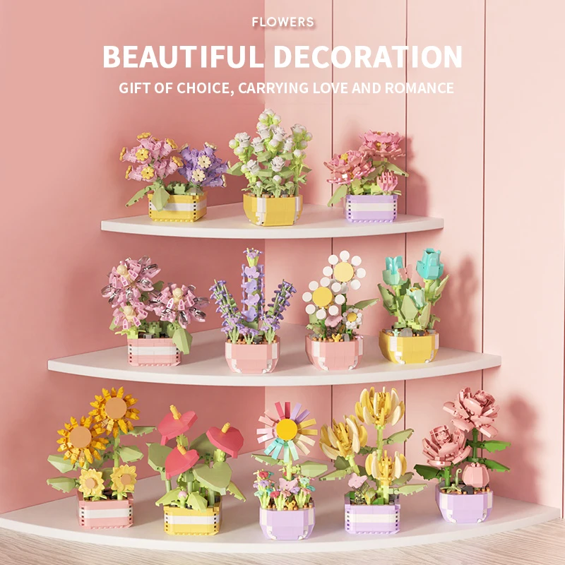 Flower Succulents Building Blo - Echeveria Succulent reseña y precio