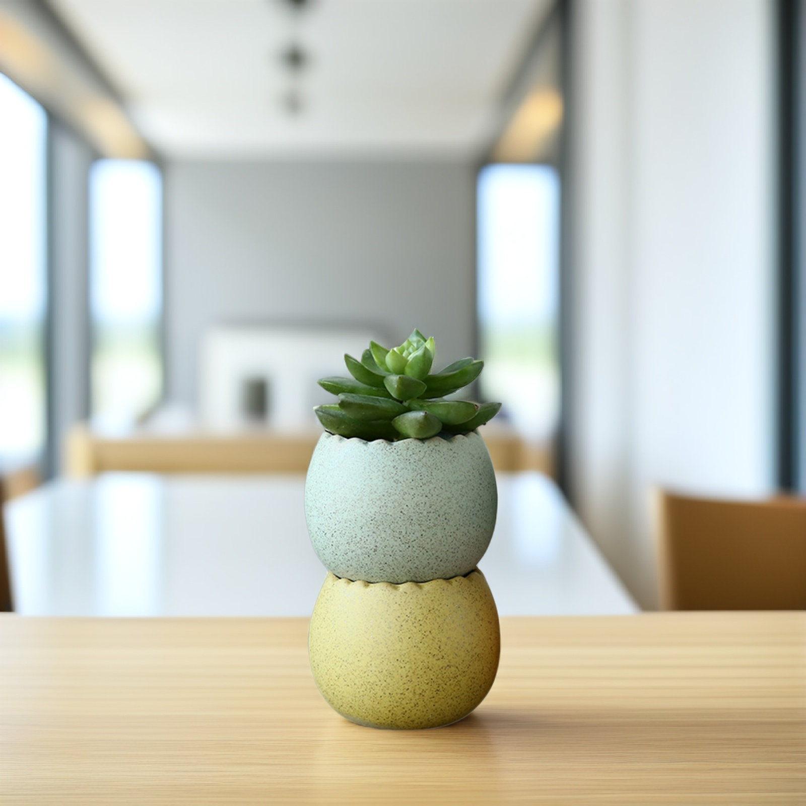 6Pcs Stylish Ceramic Mini Pots - Aloe Vera Pot reseña y precio