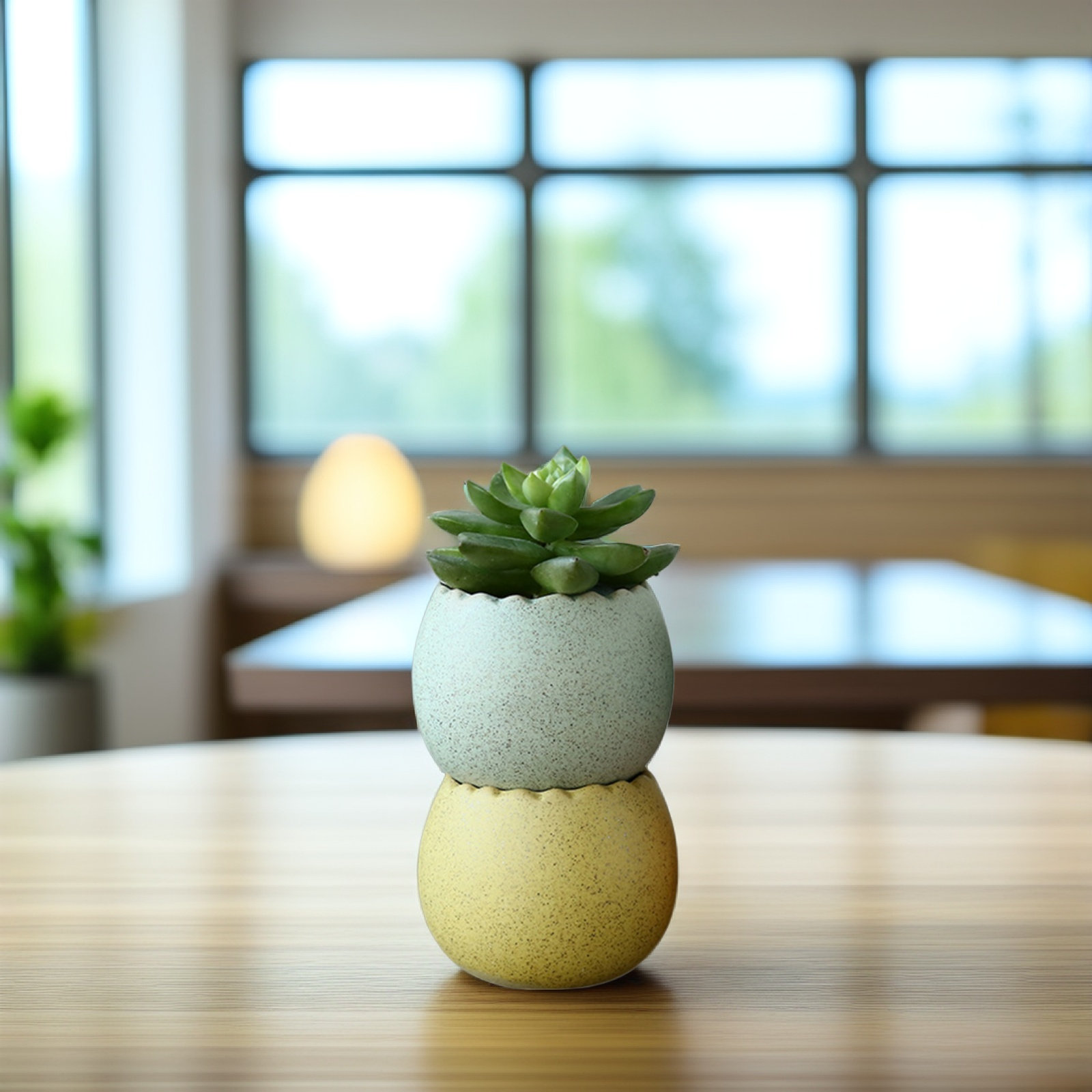 6Pcs Stylish Ceramic Mini Pots - Aloe Vera Pot reseña y precio