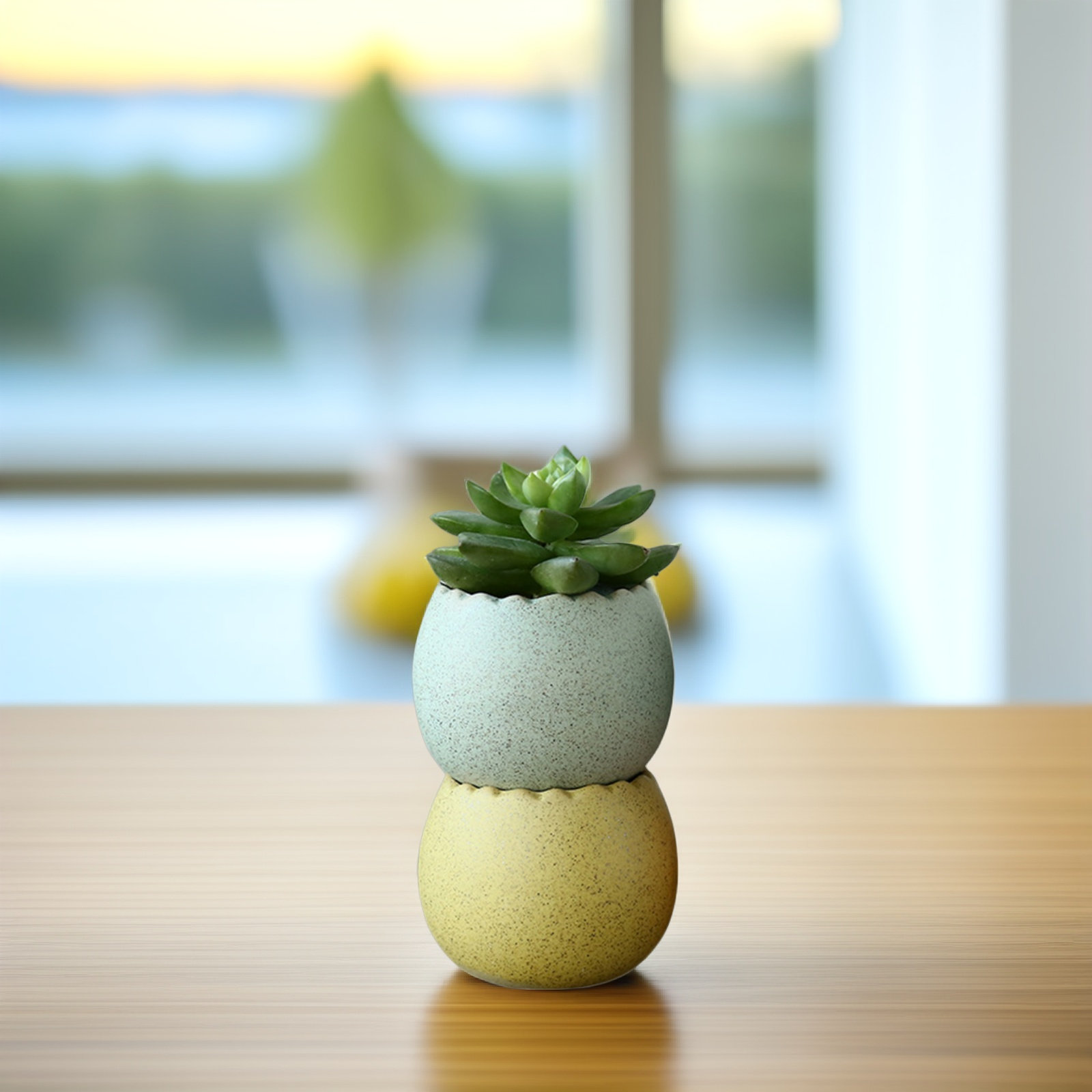 6Pcs Stylish Ceramic Mini Pots - Aloe Vera Pot reseña y precio