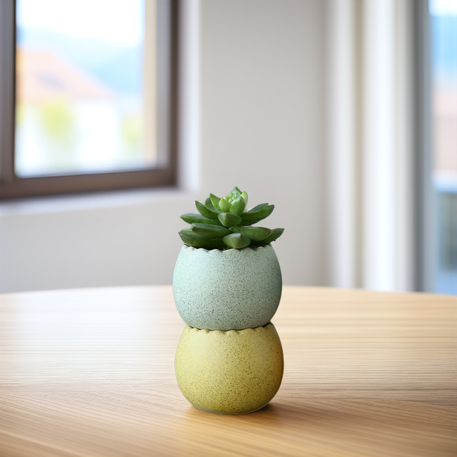 6Pcs Stylish Ceramic Mini Pots - Aloe Vera Pot reseña y precio
