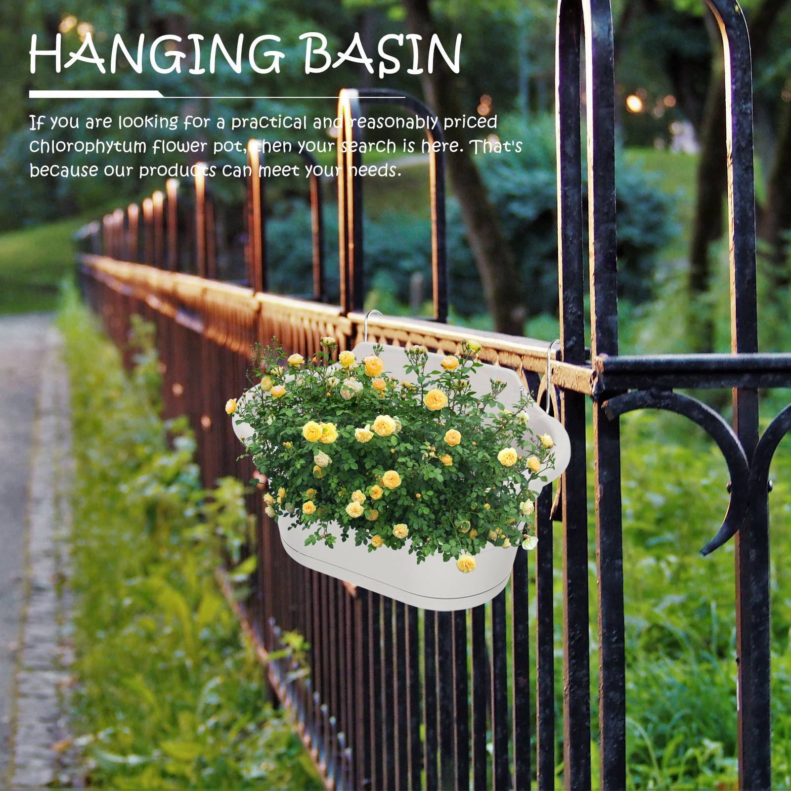 1Set Wall Hanging Flower Pot S - Spider Plant Hanging reseña y precio