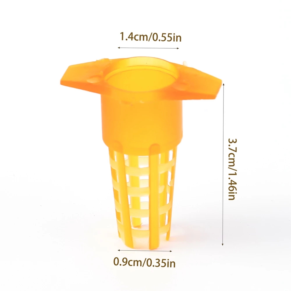 50 Pcs King Cells Plastic Bee  - Begonia Rex reseña y precio