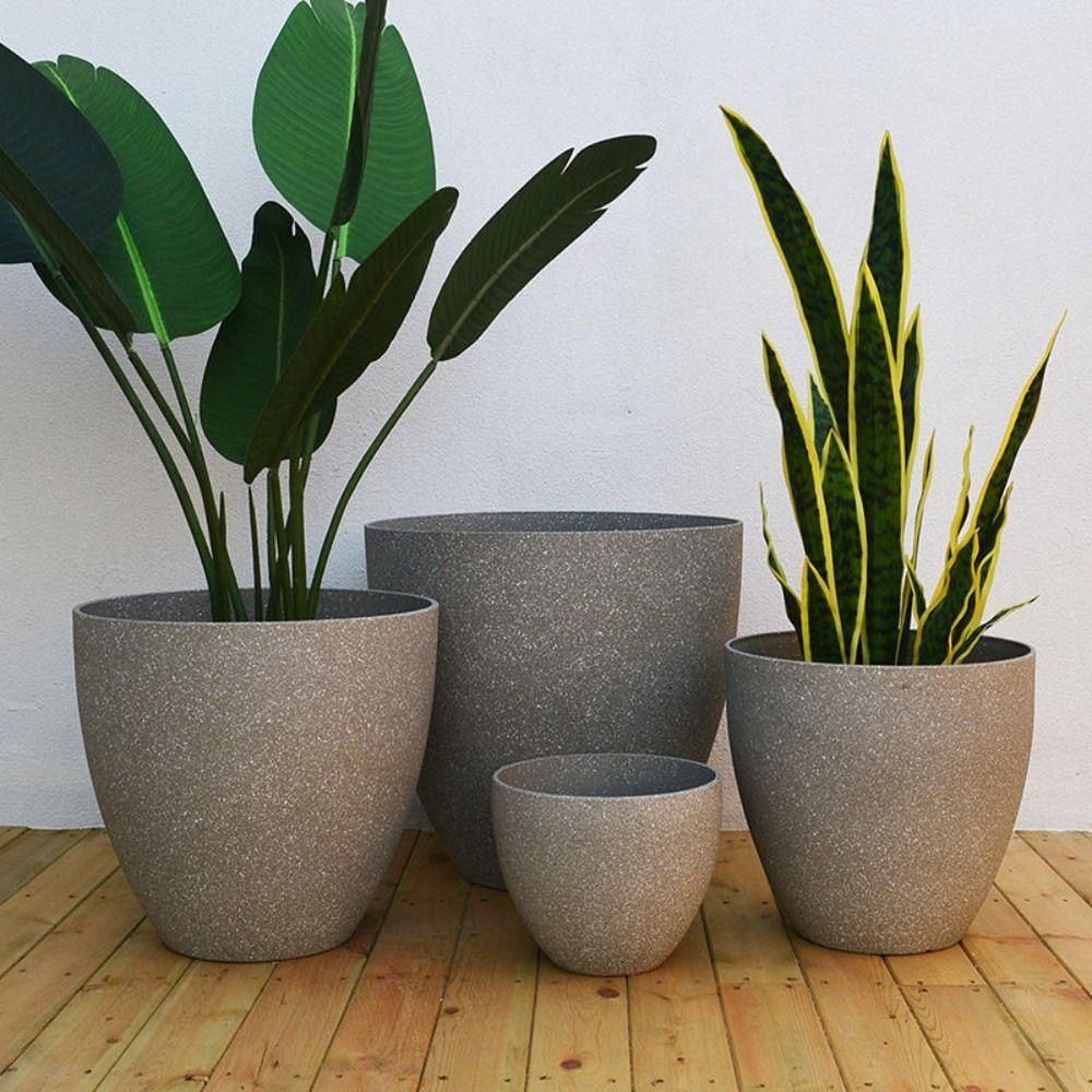 Frosted Imitation Stone Bonsai - Pilea Peperomioides reseña y precio
