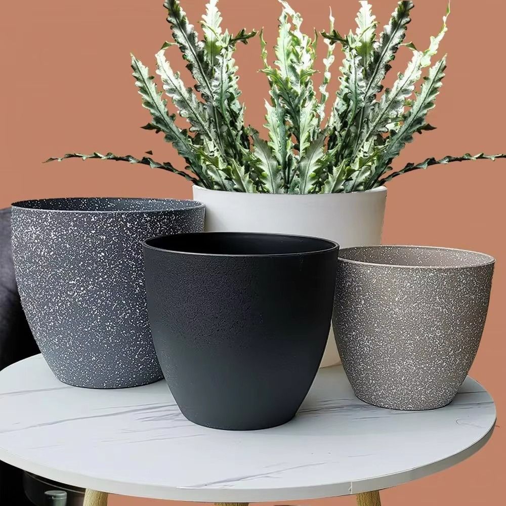 Frosted Imitation Stone Bonsai - Pilea Peperomioides reseña y precio