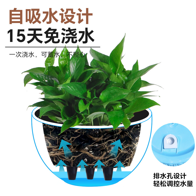 New simple imitation rattan wo - Spider Plant Hanging reseña y precio