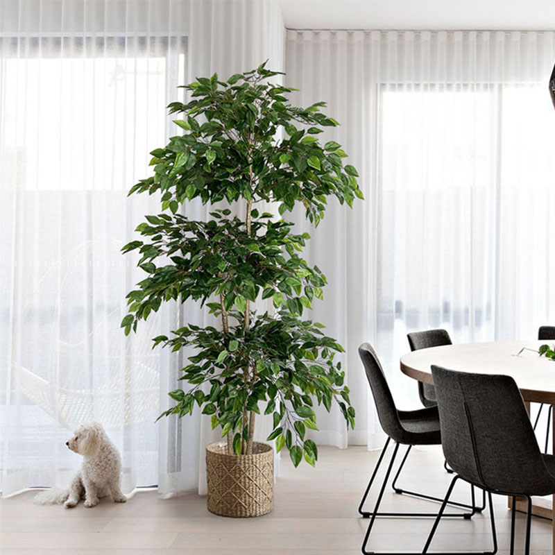 70in Ficus Artificial Tree Lar - Ficus Lyrata Tree reseña y precio