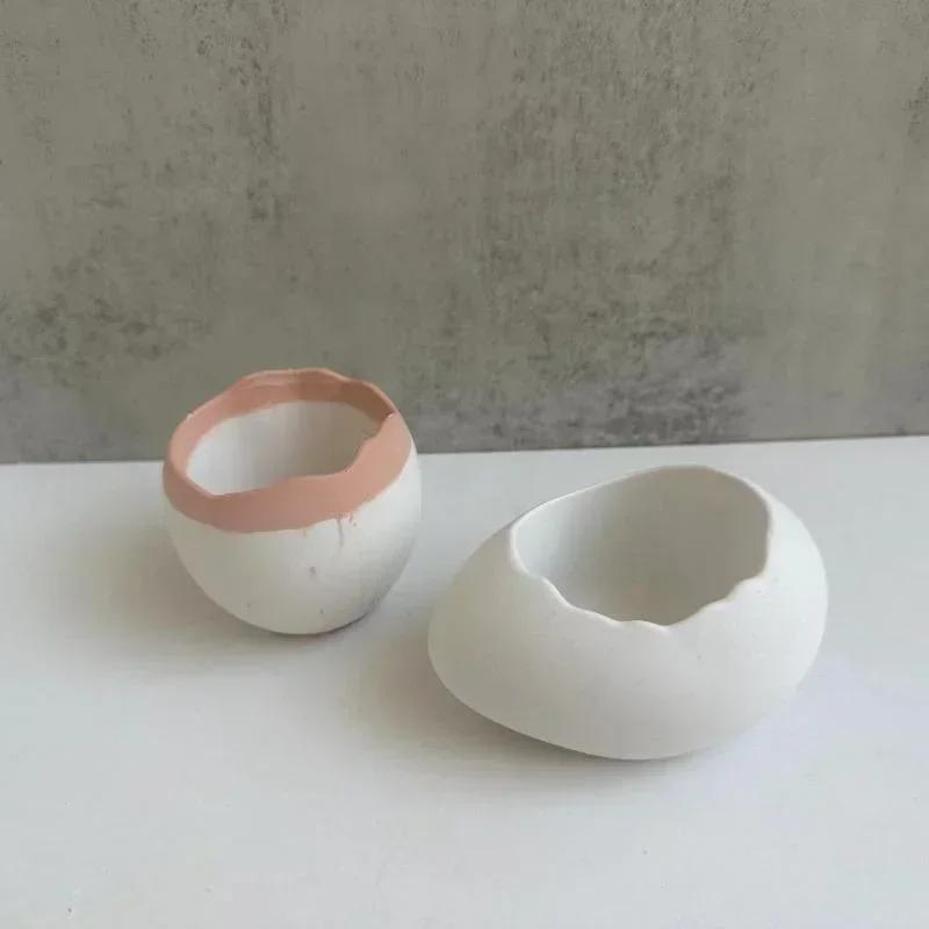 Plaster Handmade Mold Egg-shap - Echeveria Succulent reseña y precio