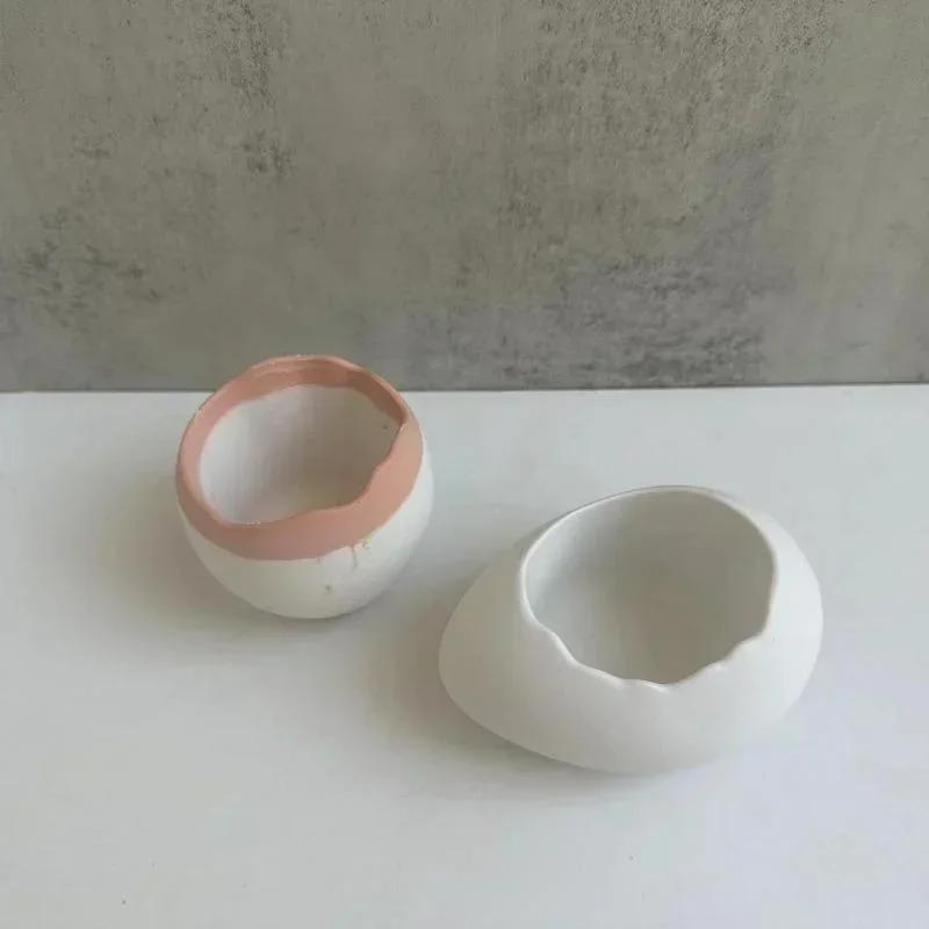 Plaster Handmade Mold Egg-shap - Echeveria Succulent reseña y precio