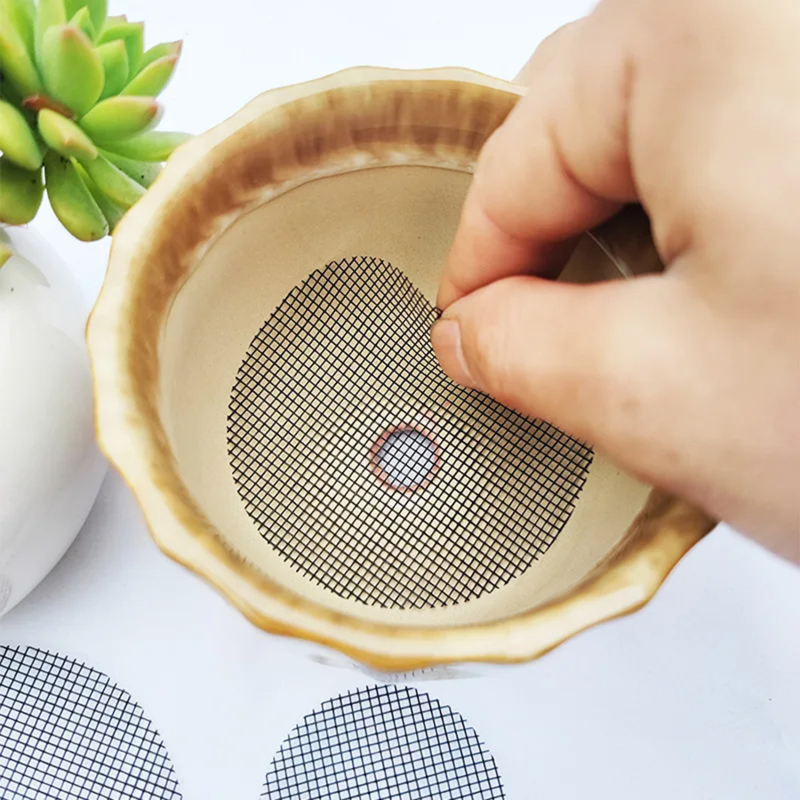 Pot Hole Mesh Pad Mat Grid Rou - Pilea Peperomioides reseña y precio