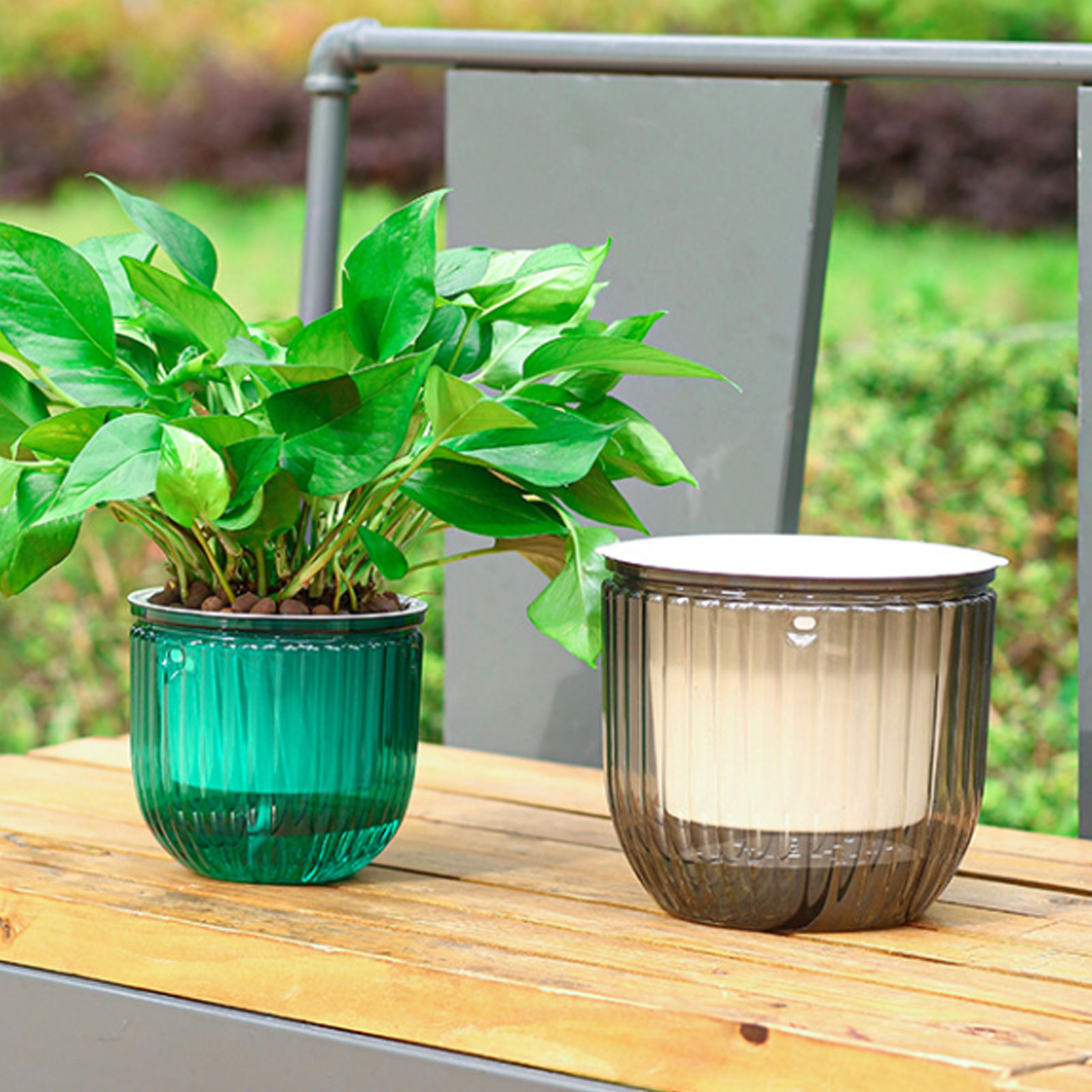 Automatic Self Watering Plant  - Spider Plant Hanging reseña y precio