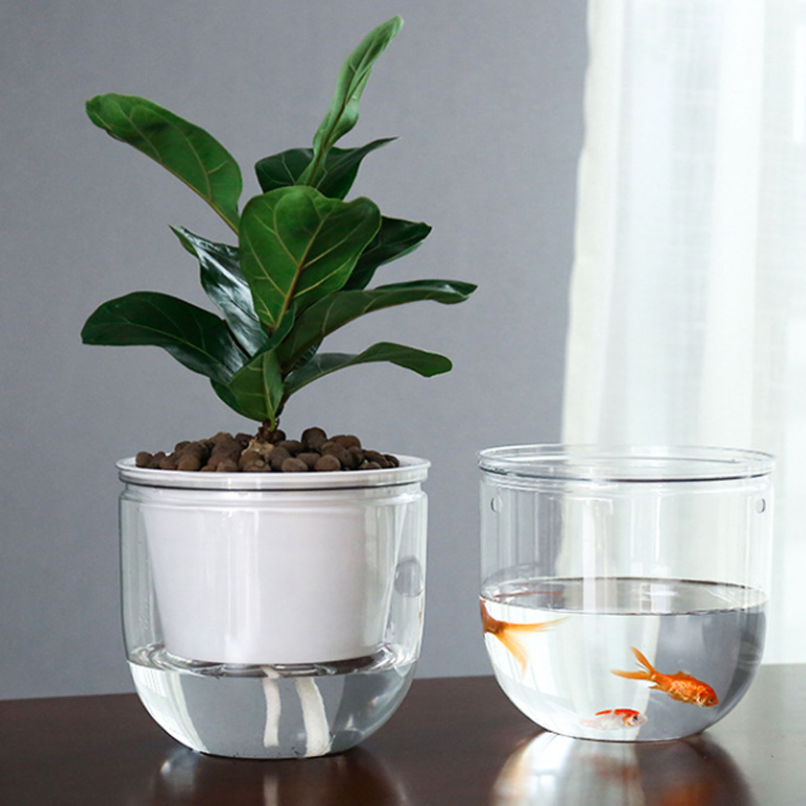 Automatic Self Watering Plant  - Spider Plant Hanging reseña y precio