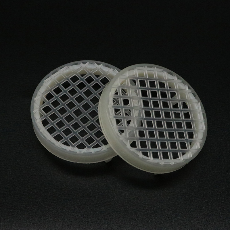 5PCS Bee Farm Round Queen Rear - Begonia Rex reseña y precio