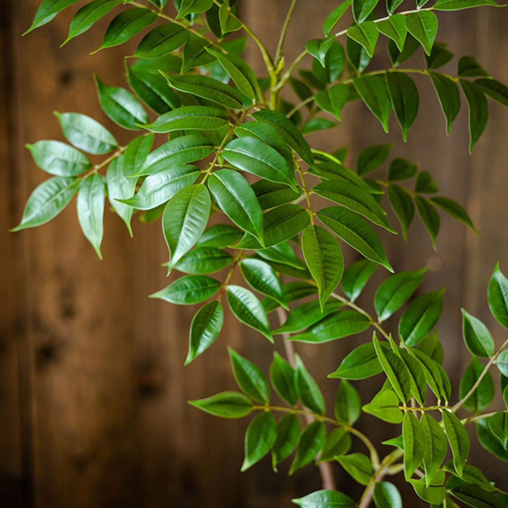 76-140cm Large Artificial Ficu - Ficus Lyrata Tree reseña y precio