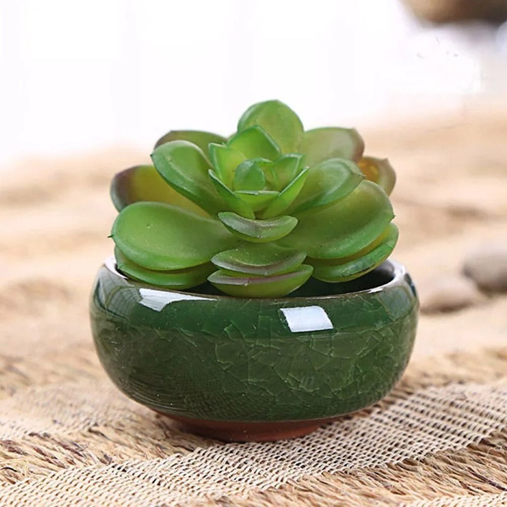 Breathable Ice-Crack Glaze Cer - Pilea Peperomioides reseña y precio