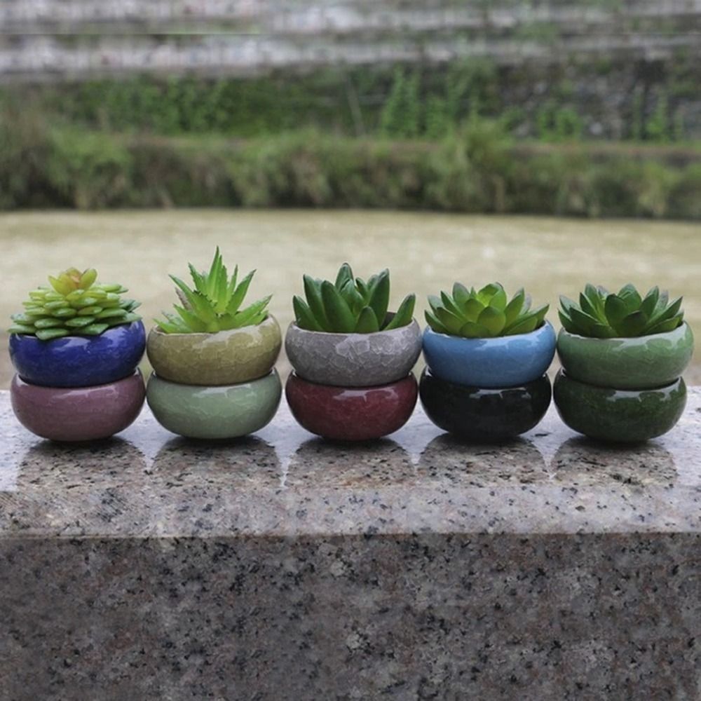 Breathable Ice-Crack Glaze Cer - Pilea Peperomioides reseña y precio
