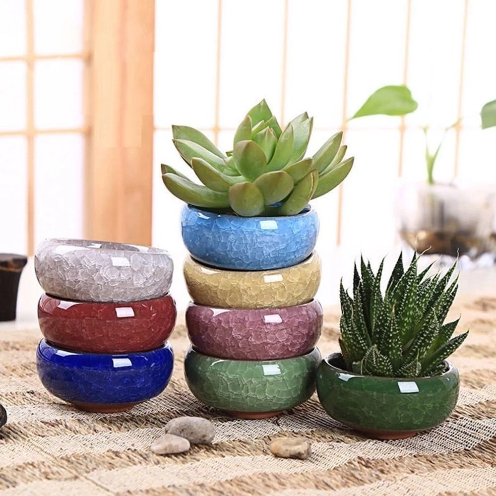 Breathable Ice-Crack Glaze Cer - Pilea Peperomioides reseña y precio