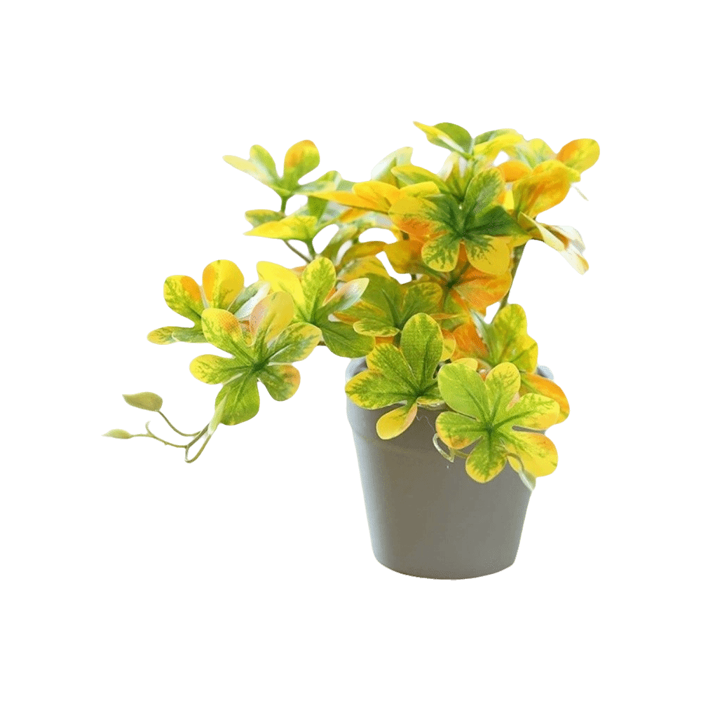 Bonsai Artificial Bonsai Plant - Spider Plant Hanging reseña y precio