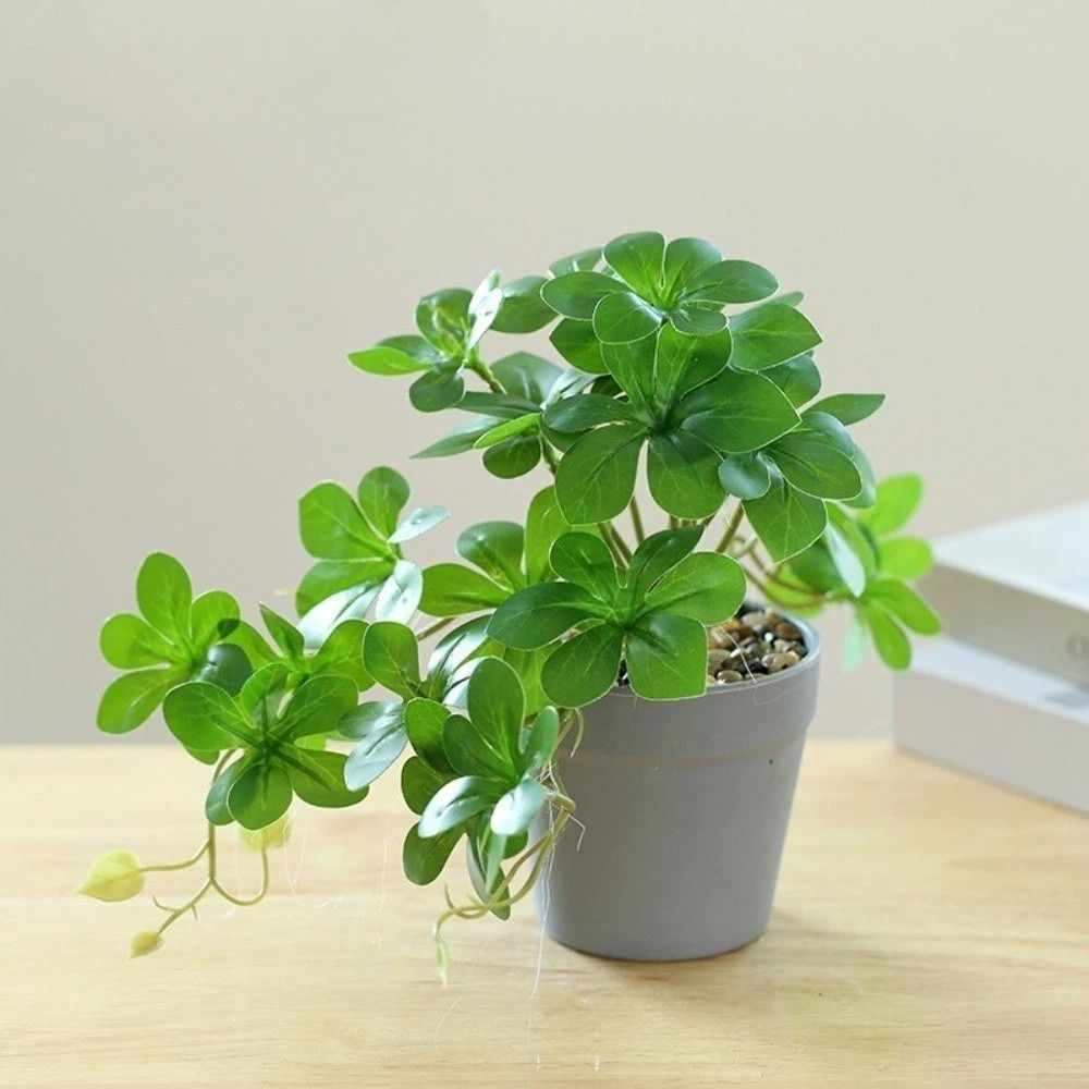 Bonsai Artificial Bonsai Plant - Spider Plant Hanging reseña y precio