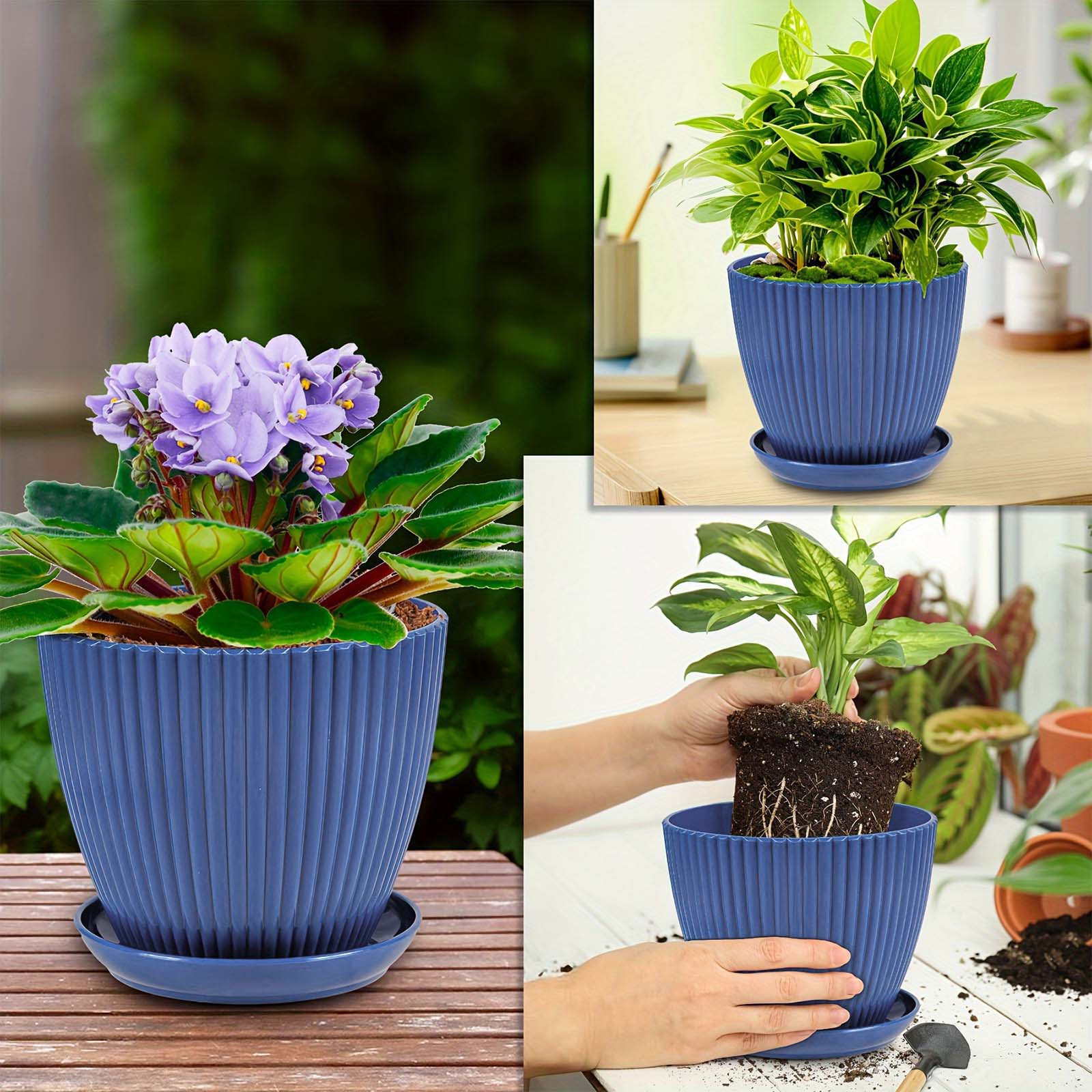 Vertical Striped Thickened Pla - Pilea Peperomioides reseña y precio