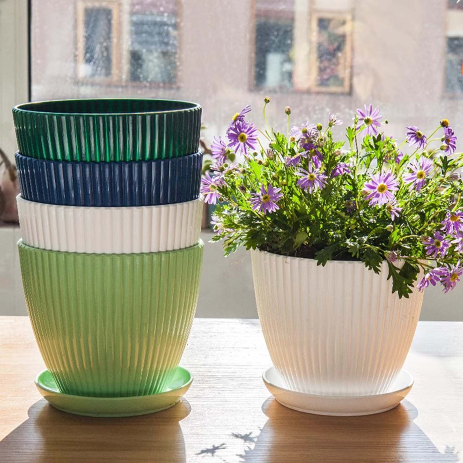 Vertical Striped Thickened Pla - Pilea Peperomioides reseña y precio