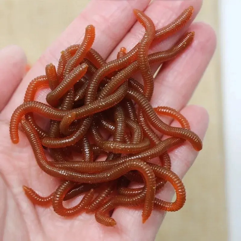 Lifelike Fishy Smell Red Soft  - Aglaonema Red reseña y precio