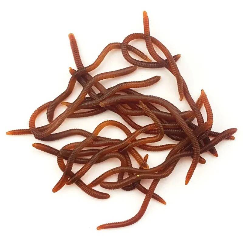 Lifelike Fishy Smell Red Soft  - Aglaonema Red reseña y precio
