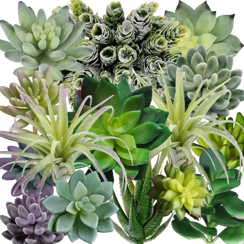 15 Pack Assorted Artificial Su - Echeveria Succulent reseña y precio