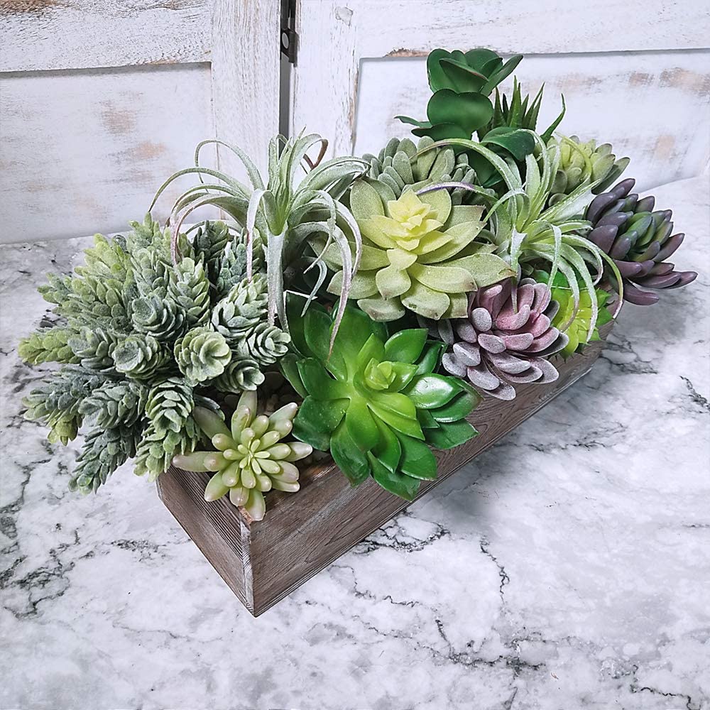 15 Pack Assorted Artificial Su - Echeveria Succulent reseña y precio