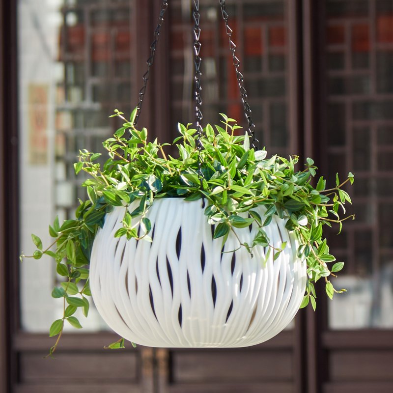 Hanging pot, plastic personali - Spider Plant Hanging reseña y precio