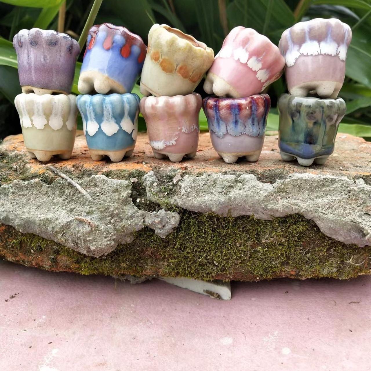 10Pcs Mini Ceramics Fowerpot M - Echeveria Succulent reseña y precio