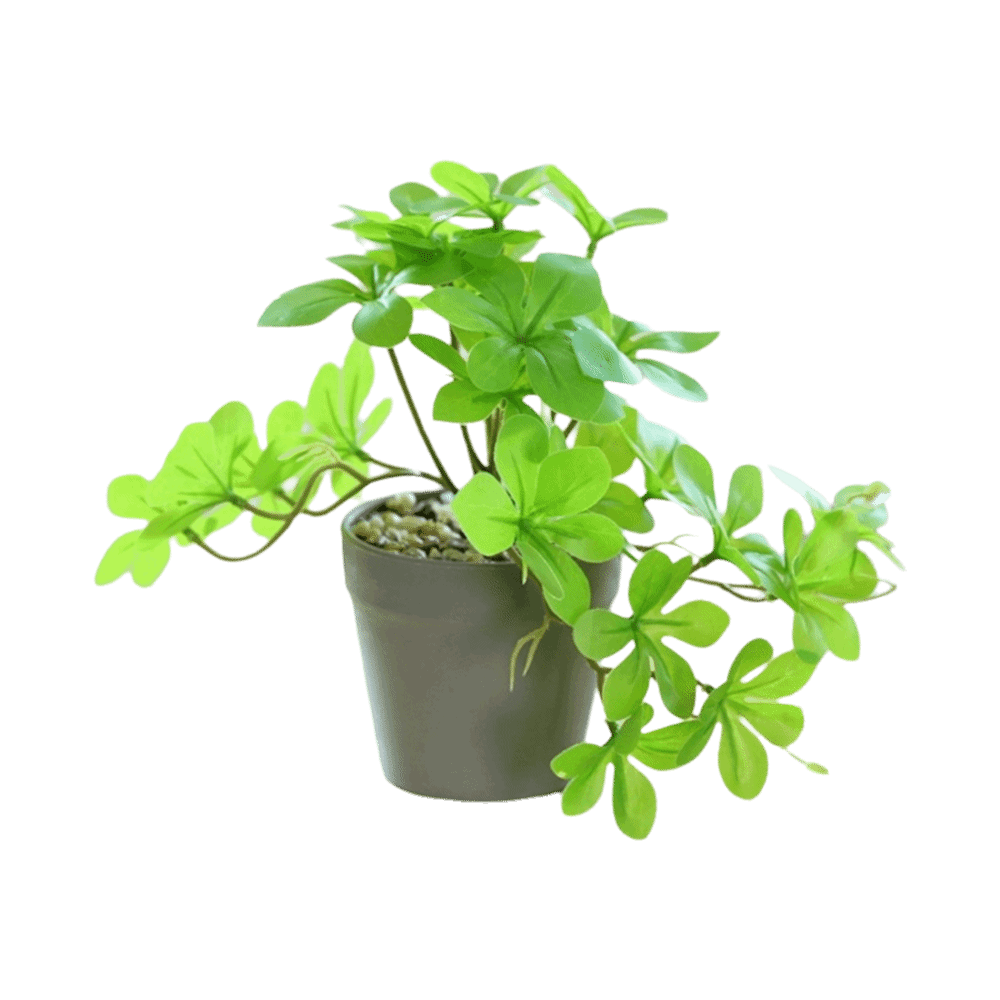 Bonsai Artificial Bonsai Plant - Spider Plant Hanging reseña y precio