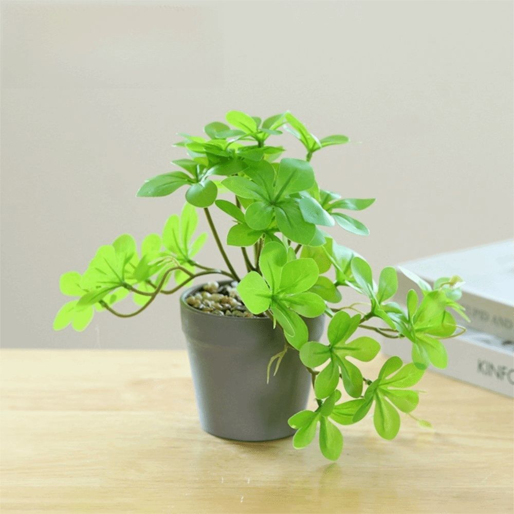 Bonsai Artificial Bonsai Plant - Spider Plant Hanging reseña y precio