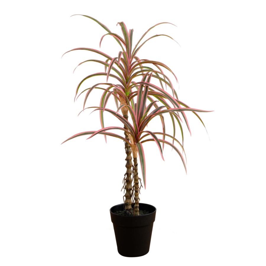 Dracaena Marginata Artificial  - Dracaena Marginata reseña y precio