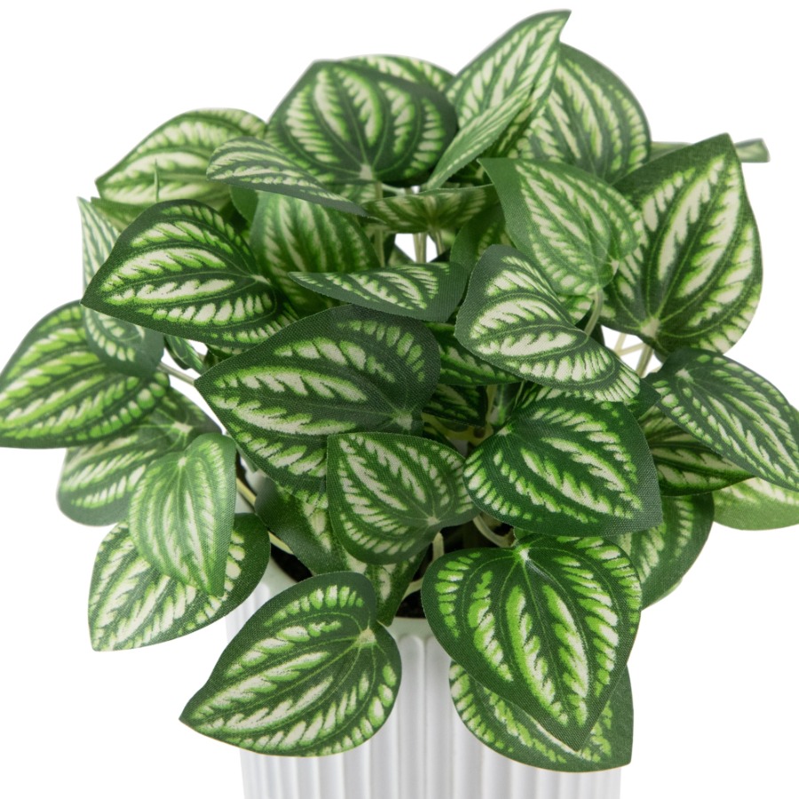 Artificial Watermelon Peperomi - Peperomia Watermelon reseña y precio