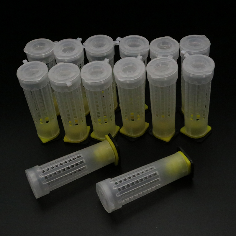 1 Set Bees Tools Cages King Qu - Begonia Rex reseña y precio