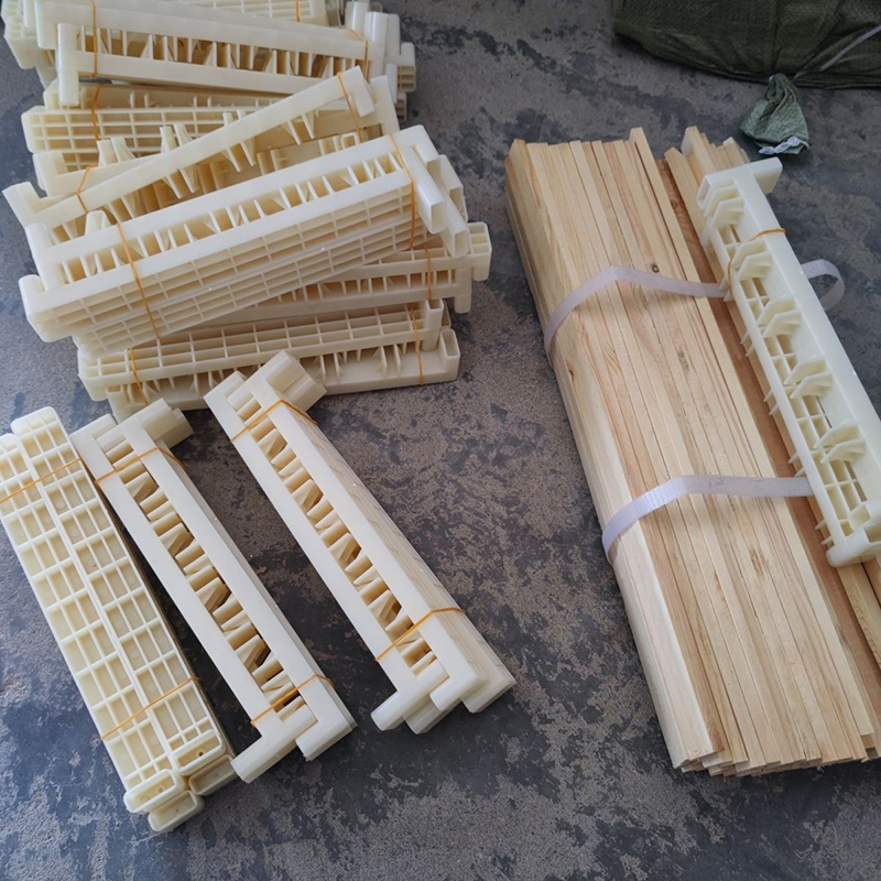 Bee Breeding Frames Plastic Ch - Begonia Rex reseña y precio
