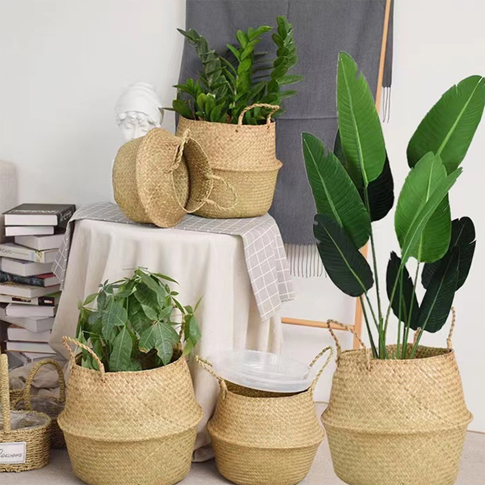 Plant Basket with Handles Wick - Aloe Vera Pot reseña y precio