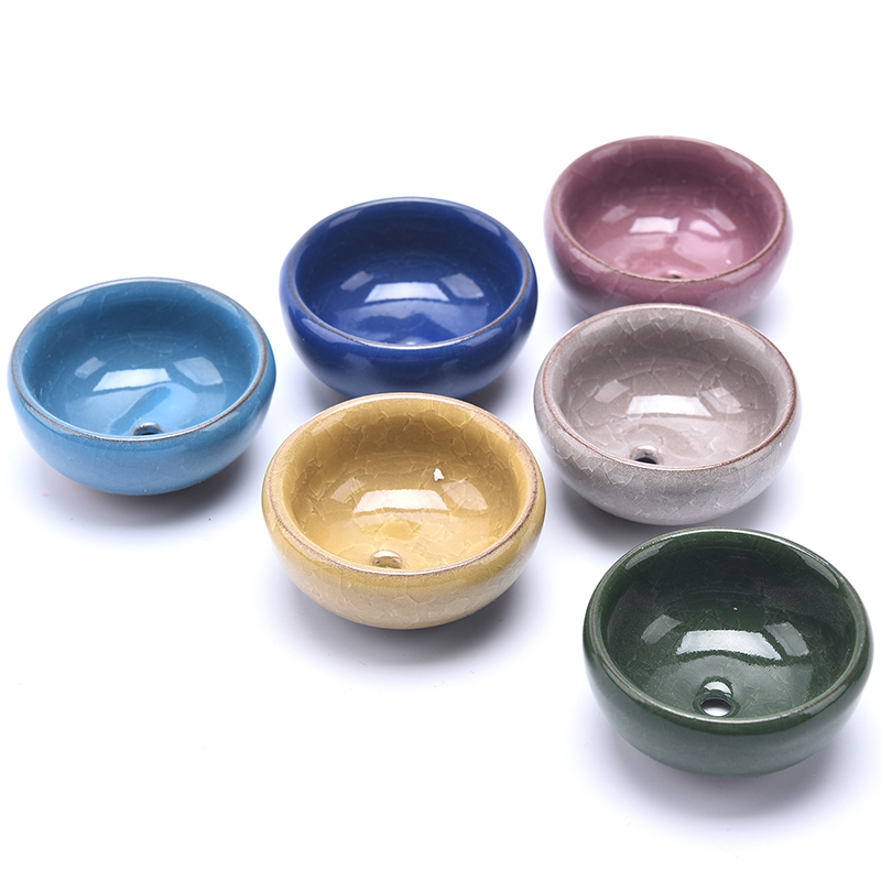 Cute Ice-Crack Glaze Flower Ce - Pilea Peperomioides reseña y precio
