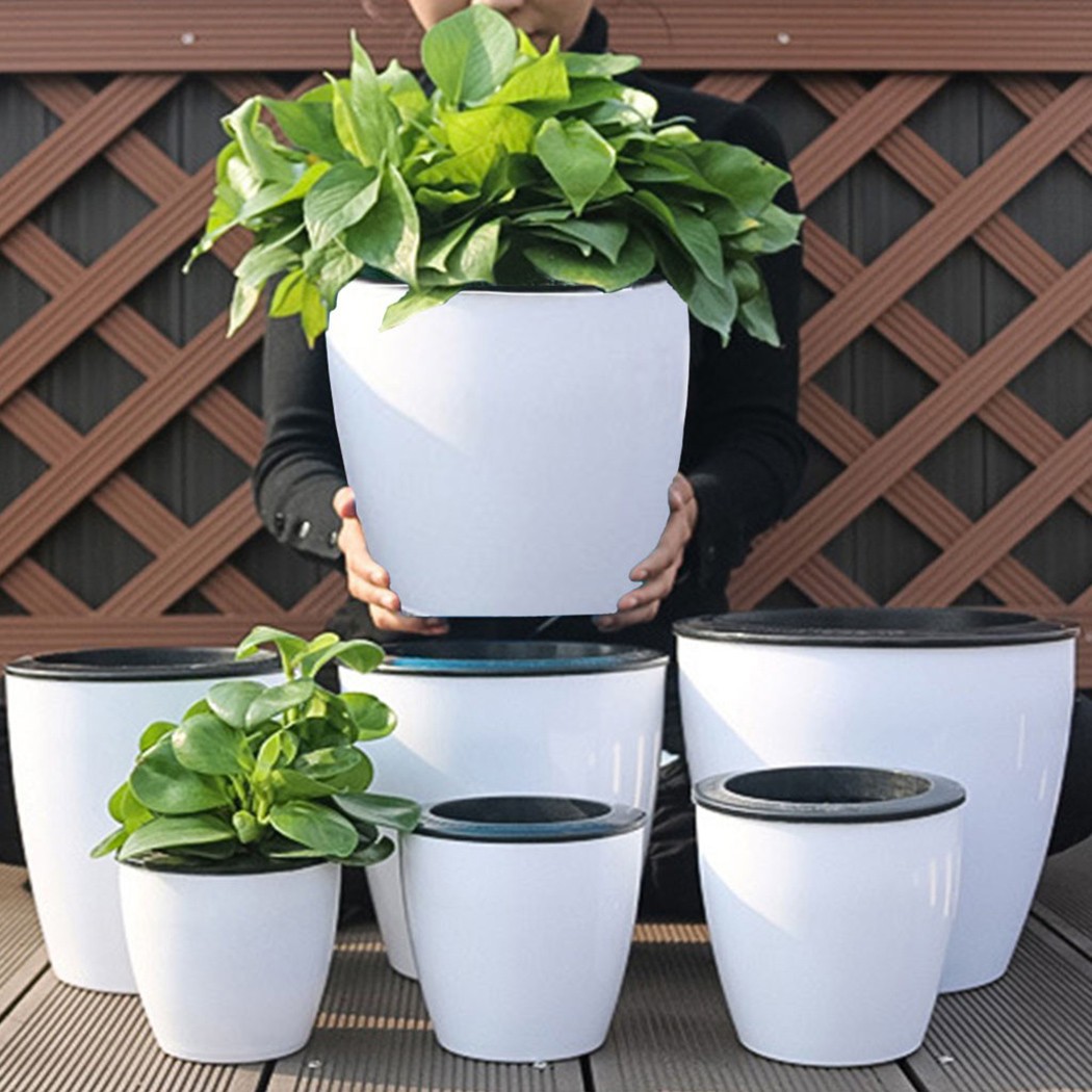 Automatic Watering Flower Plan - Aloe Vera Pot reseña y precio