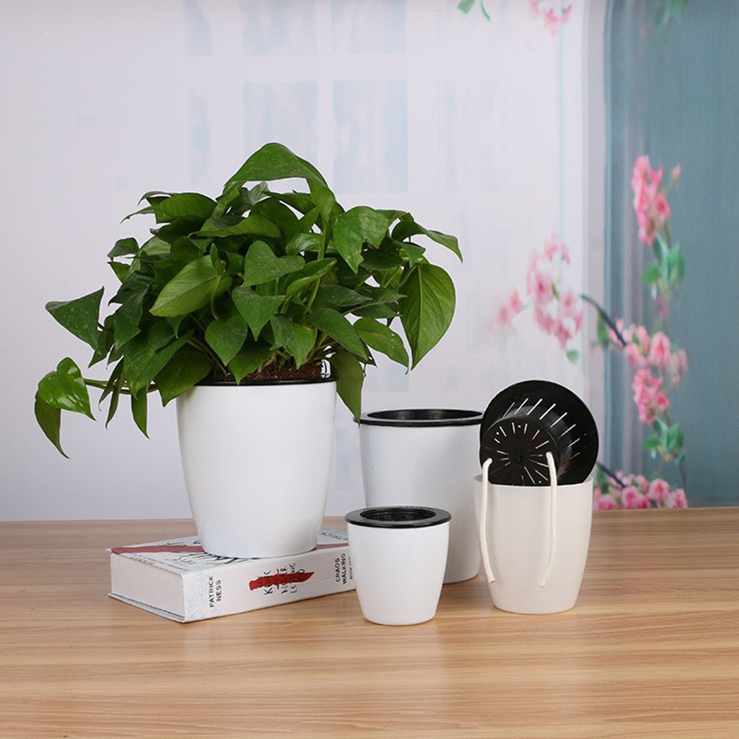Automatic Watering Flower Plan - Aloe Vera Pot reseña y precio