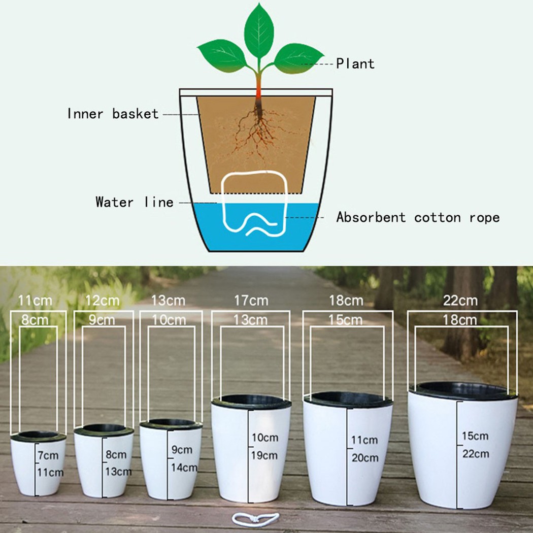 Automatic Watering Flower Plan - Aloe Vera Pot reseña y precio