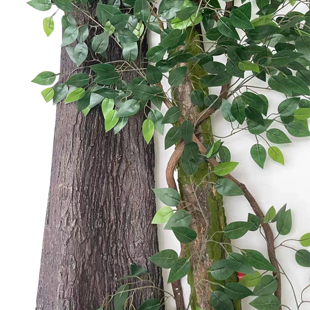 Cuttable Simulation Tree Bark  - Pilea Peperomioides reseña y precio