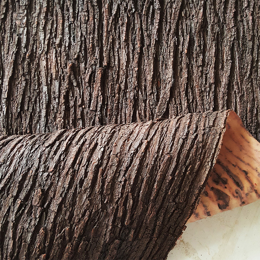 Cuttable Simulation Tree Bark  - Pilea Peperomioides reseña y precio